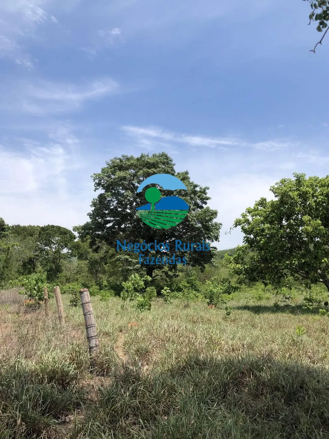 Fazenda à venda de 266 ha em Palmeirópolis, TO, Brasil
