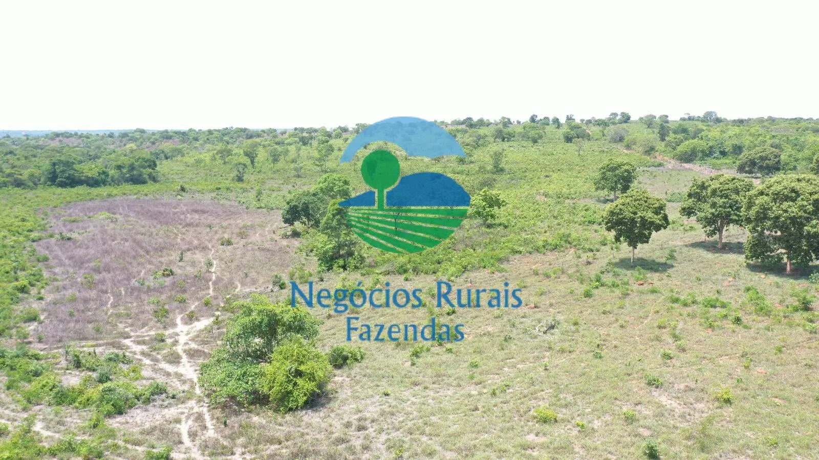 Fazenda à venda de 266 ha em Palmeirópolis, TO, Brasil