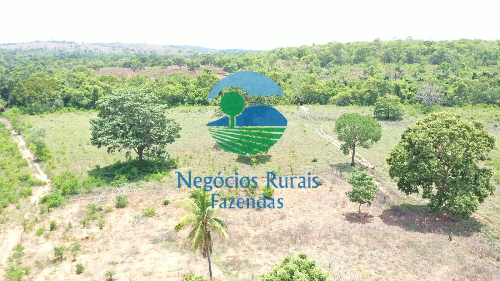 Fazenda à venda de 266 ha em Palmeirópolis, TO, Brasil