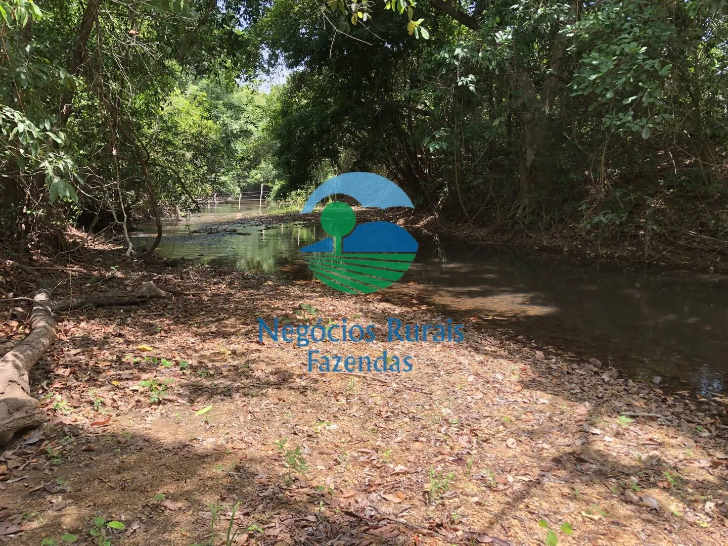 Fazenda à venda de 266 ha em Palmeirópolis, TO, Brasil