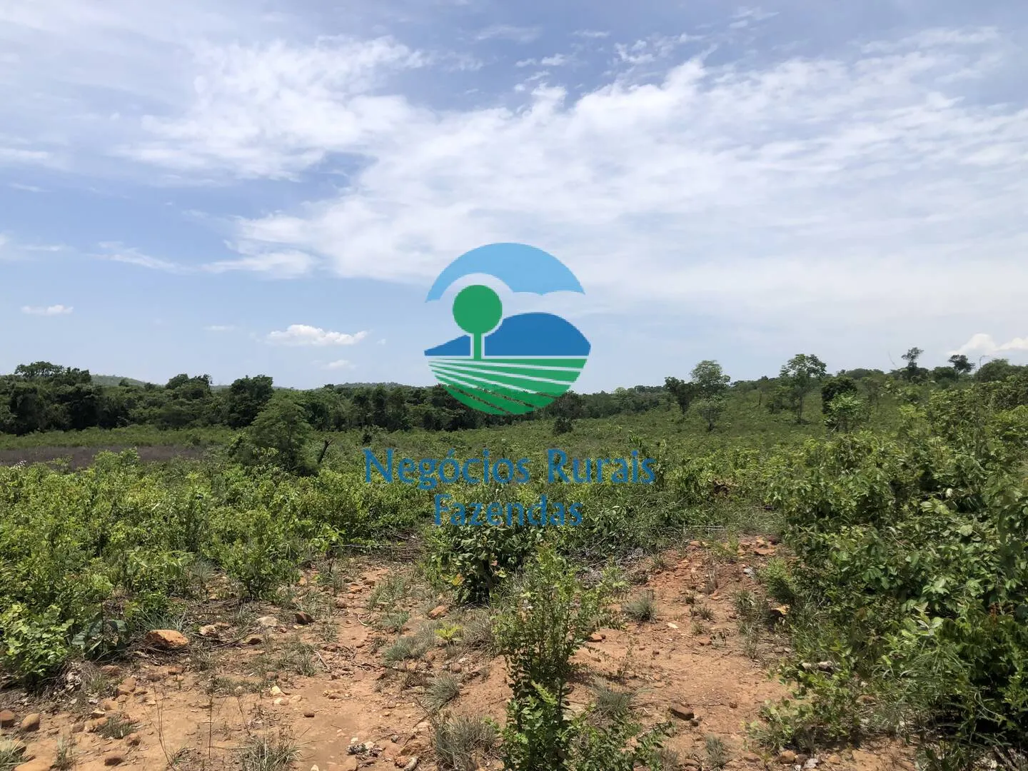 Fazenda à venda de 266 ha em Palmeirópolis, TO, Brasil