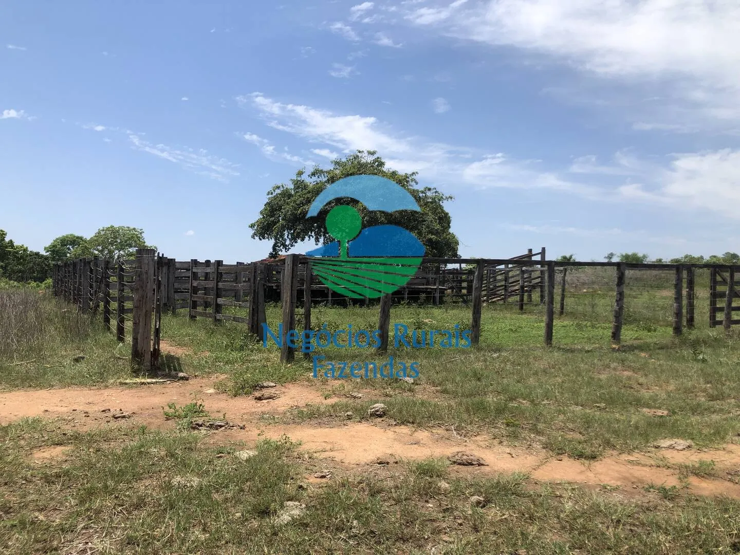 Fazenda à venda de 266 ha em Palmeirópolis, TO, Brasil