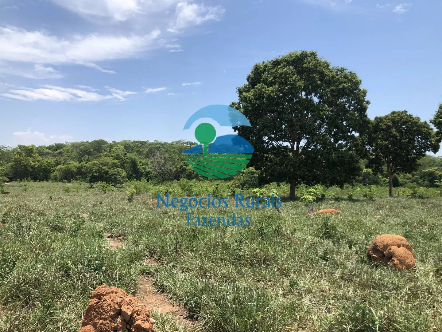 Fazenda à venda de 266 ha em Palmeirópolis, TO, Brasil