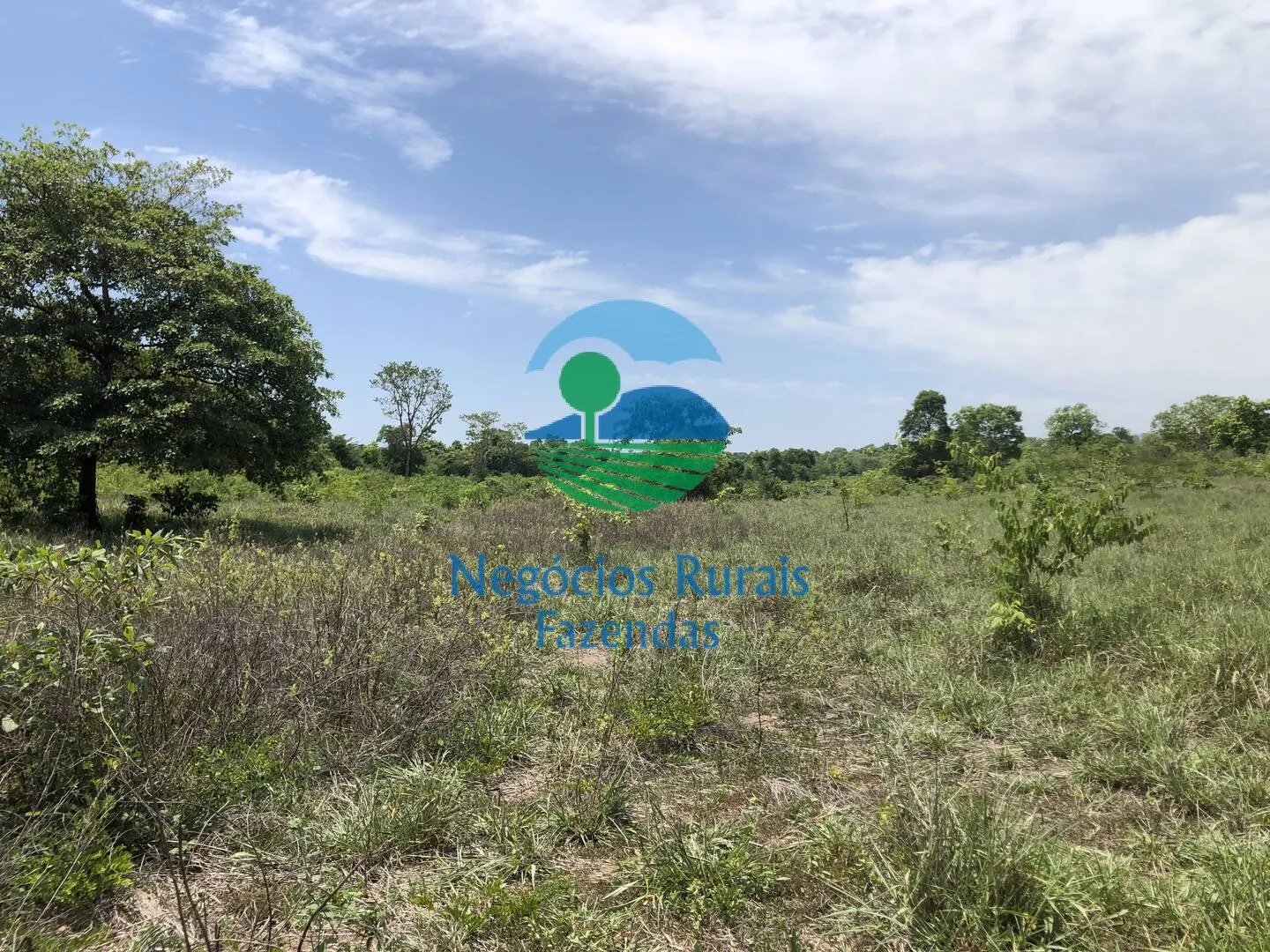 Fazenda à venda de 266 ha em Palmeirópolis, TO, Brasil