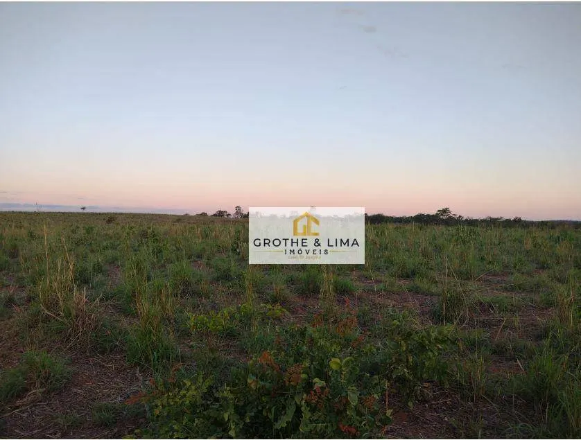 Fazenda à venda e para Arrendar de 1.573 ha em Araguaína, TO, Brasil