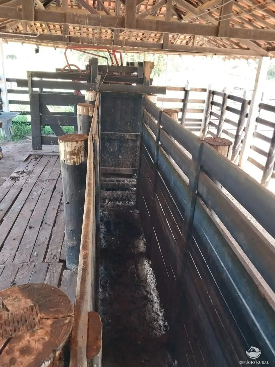 Fazenda à venda de 498 ha em Roseira, SP, Brasil
