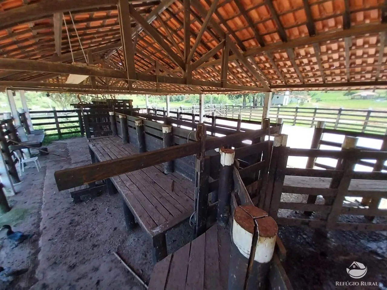 Fazenda à venda de 498 ha em Roseira, SP, Brasil