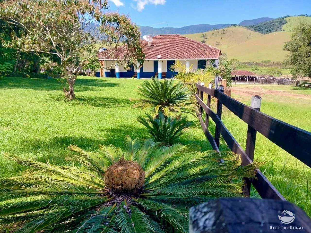 Fazenda à venda de 498 ha em Roseira, SP, Brasil
