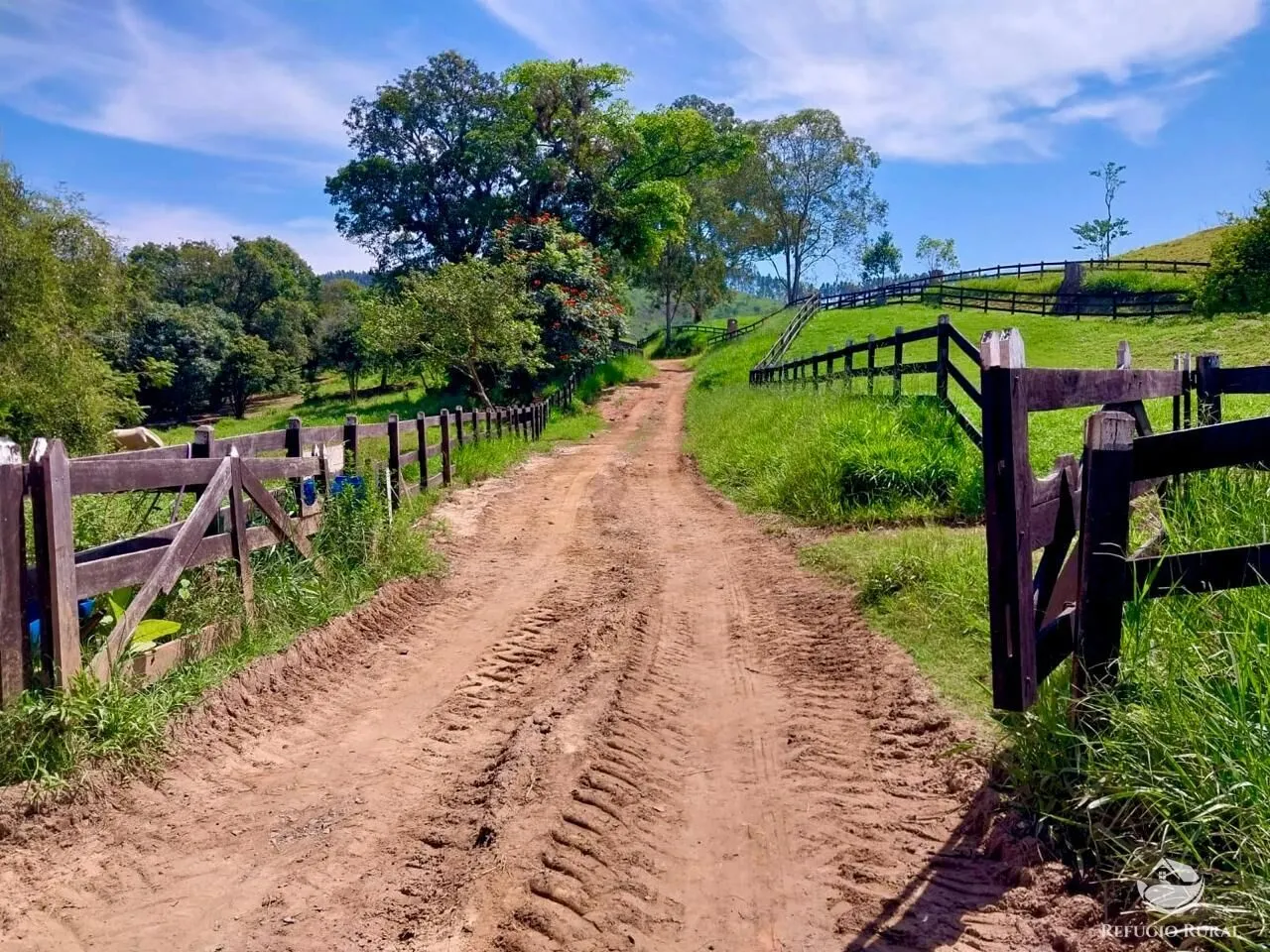 Fazenda à venda de 498 ha em Roseira, SP, Brasil