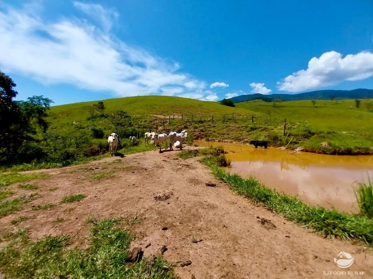 Fazenda à venda de 498 ha em Roseira, SP, Brasil