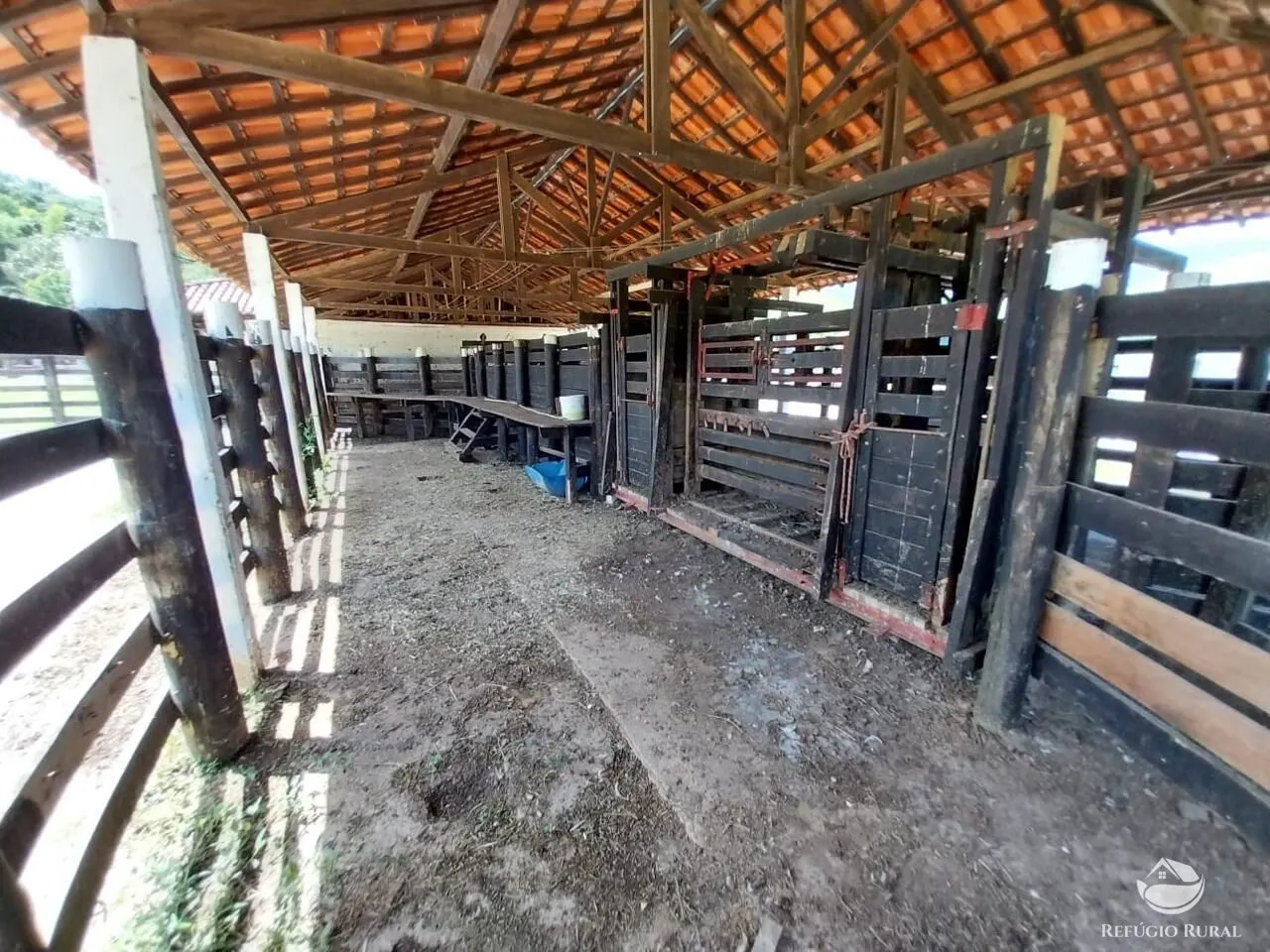 Fazenda à venda de 498 ha em Roseira, SP, Brasil