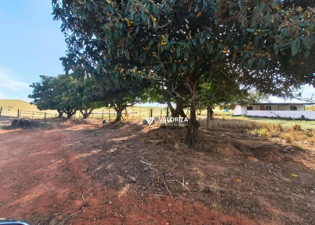 Fazenda à venda de 169 ha em Salto de Pirapora, SP, Brasil