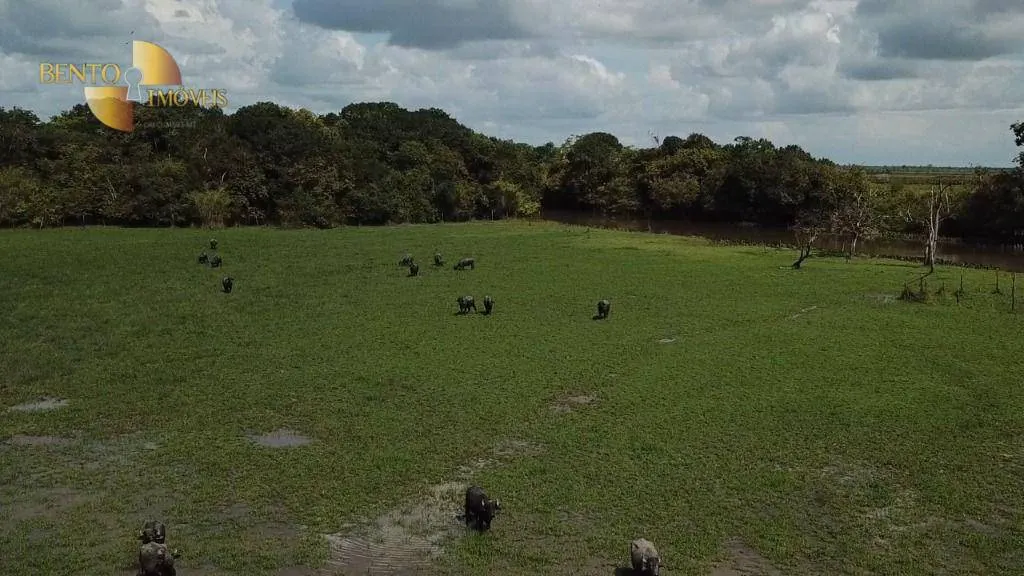 Fazenda à venda de 26.040 ha em Almeirim, PA, Brasil