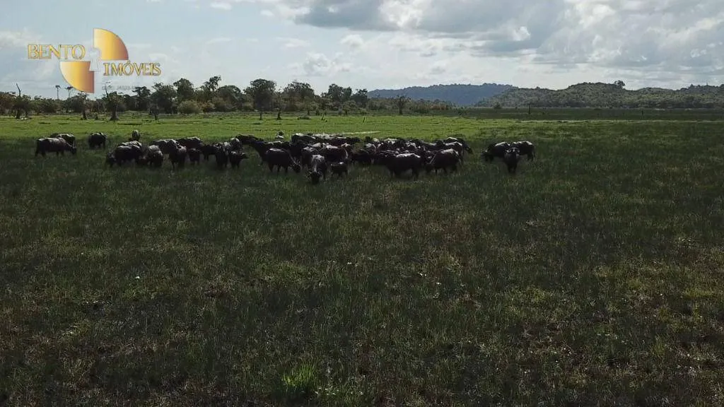 Fazenda à venda de 26.040 ha em Almeirim, PA, Brasil