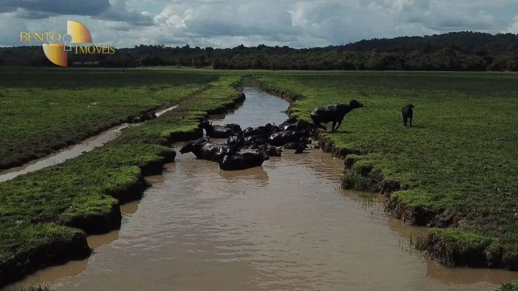 Fazenda à venda de 26.040 ha em Almeirim, PA, Brasil