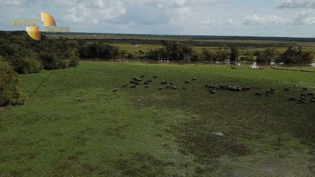 Fazenda à venda de 26.040 ha em Almeirim, PA, Brasil