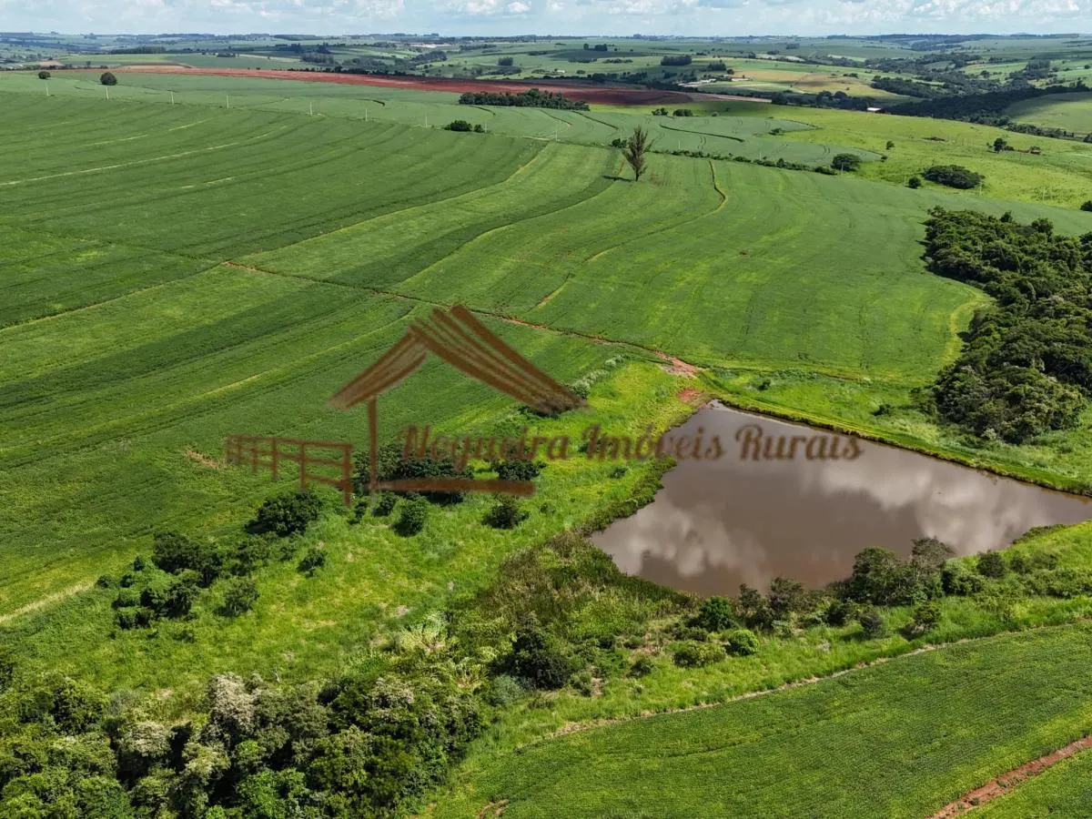 Fazenda à venda de 278 ha em Ourinhos, SP, Brasil
