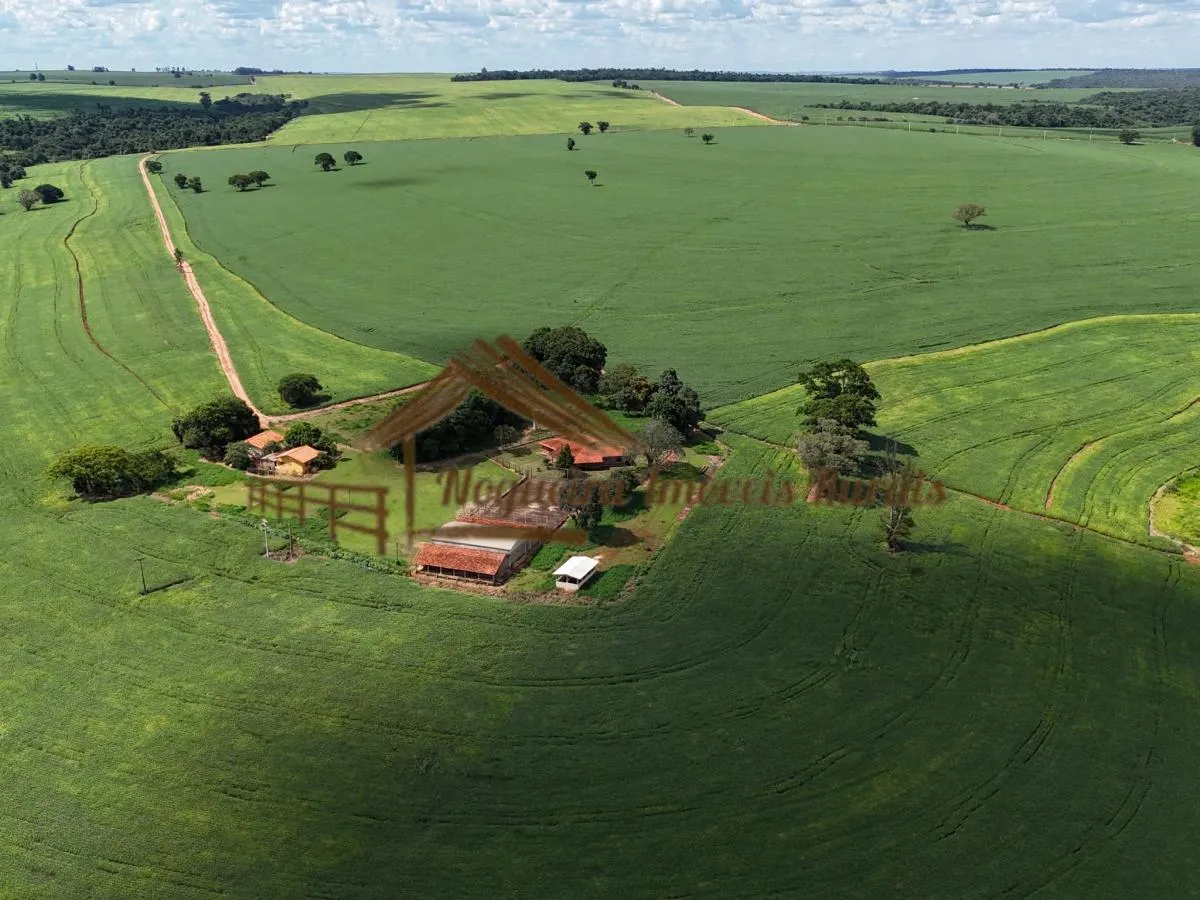 Fazenda à venda de 278 ha em Ourinhos, SP, Brasil