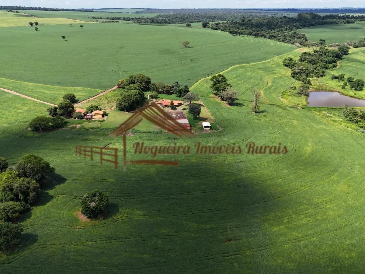 Fazenda à venda de 278 ha em Ourinhos, SP, Brasil