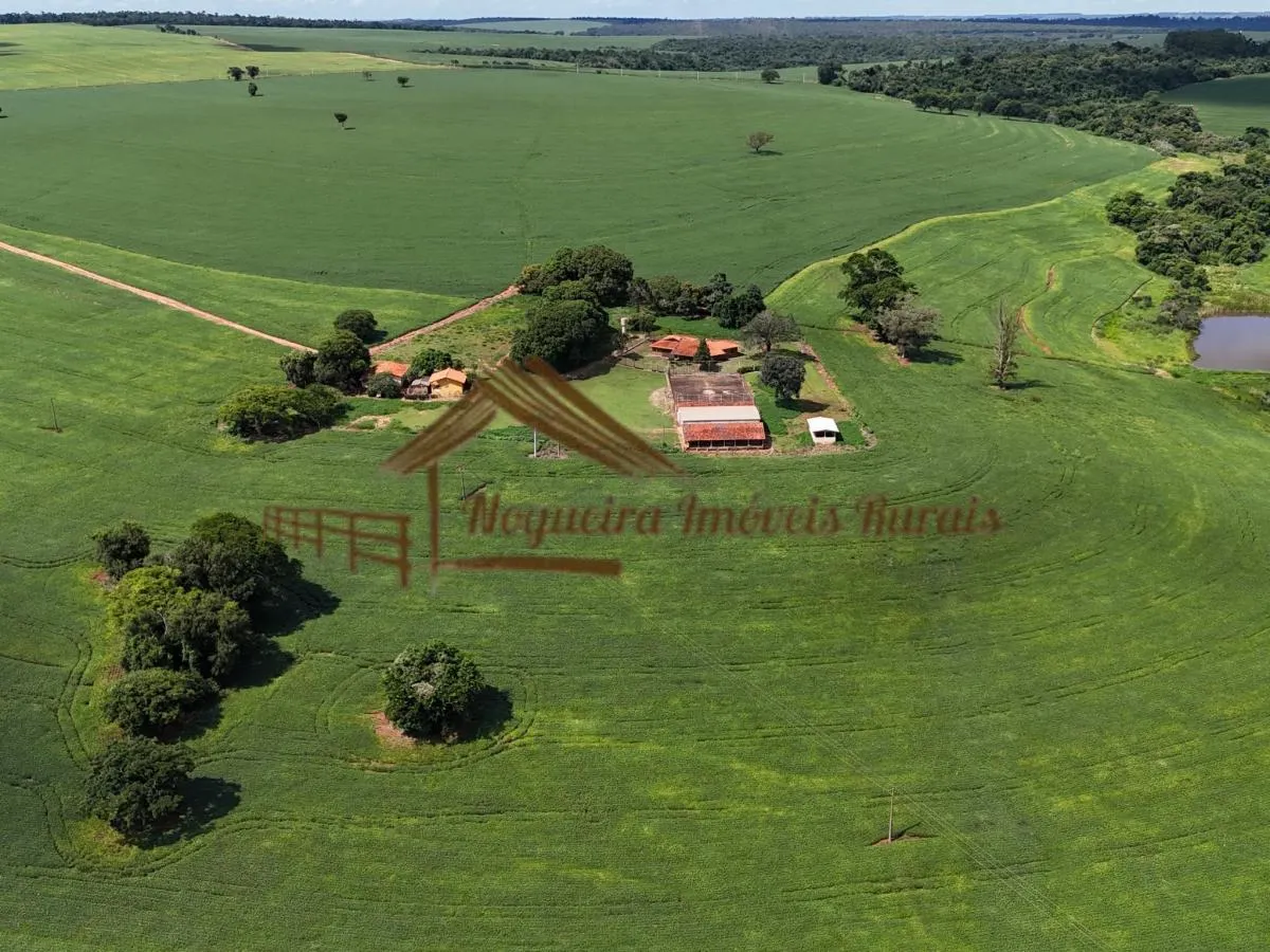 Fazenda à venda de 278 ha em Ourinhos, SP, Brasil