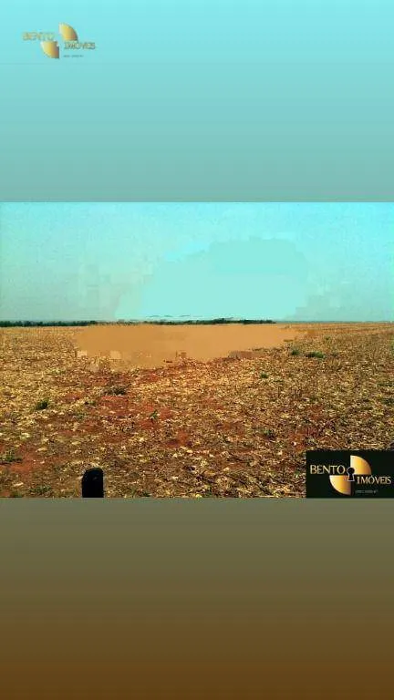 Fazenda à venda de 400 ha em Nova Mutum, MT, Brasil