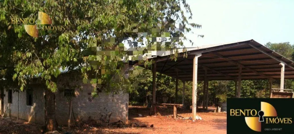 Fazenda à venda de 400 ha em Nova Mutum, MT, Brasil
