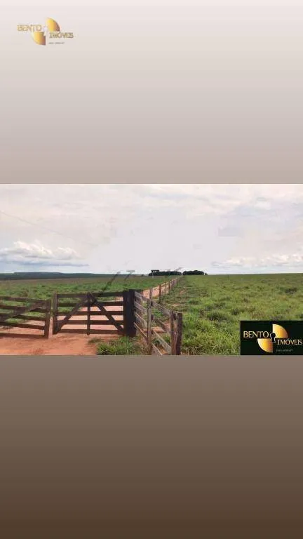 Fazenda à venda de 400 ha em Nova Mutum, MT, Brasil