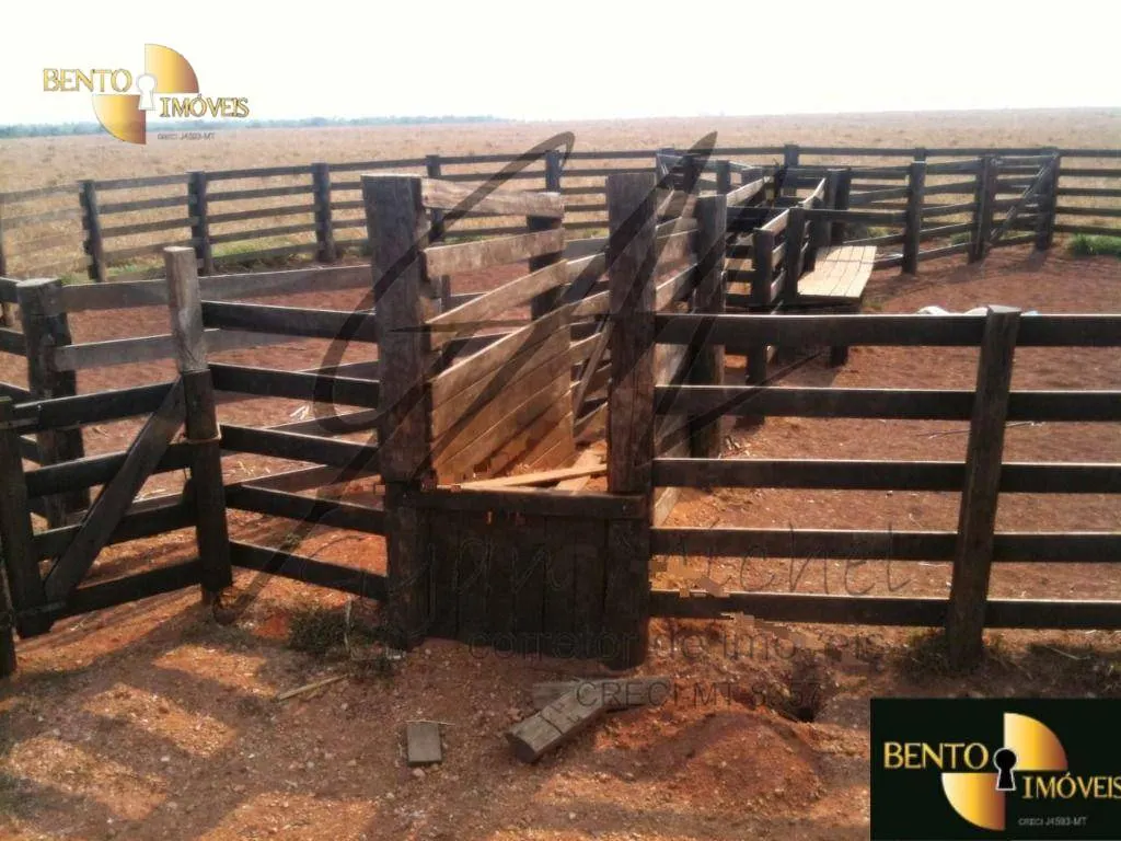 Fazenda à venda de 400 ha em Nova Mutum, MT, Brasil