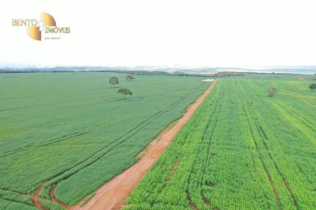 Fazenda à venda de 4.365 ha em General Carneiro, MT, Brasil