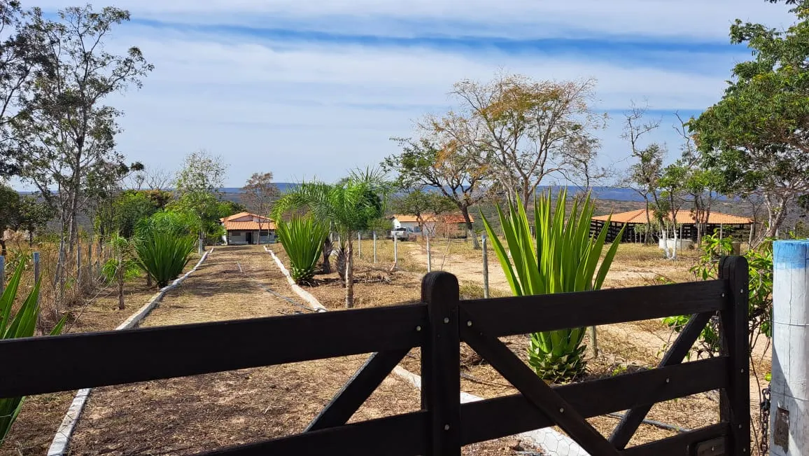 Fazenda à venda e para Arrendar de 528 ha em São Gonçalo do Abaeté, MG, Brasil