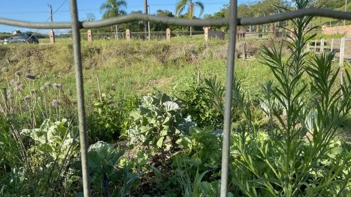 Chácara à venda de 3.600 m² em Rolante, RS, Brasil