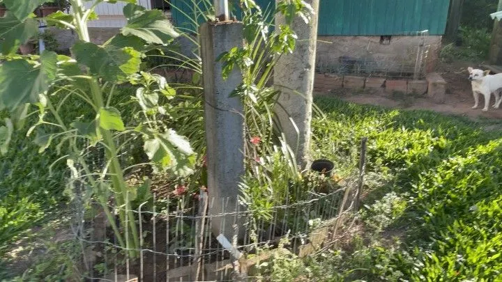 Chácara à venda de 3.600 m² em Rolante, RS, Brasil