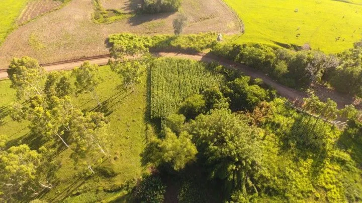 Chácara à venda de 3.600 m² em Rolante, RS, Brasil