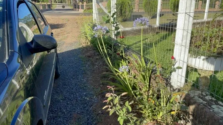 Chácara à venda de 3.600 m² em Rolante, RS, Brasil