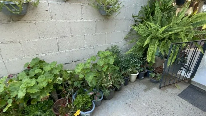Chácara à venda de 3.600 m² em Rolante, RS, Brasil