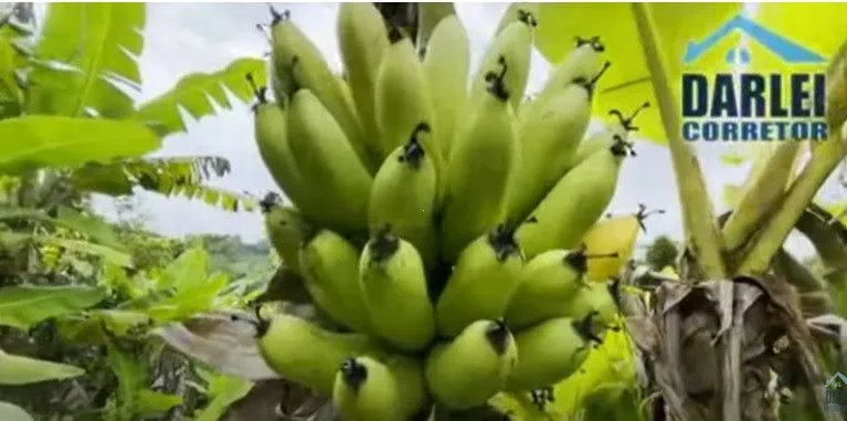 Chácara à venda de 6 ha em Dom Pedro de Alcântara, RS, Brasil