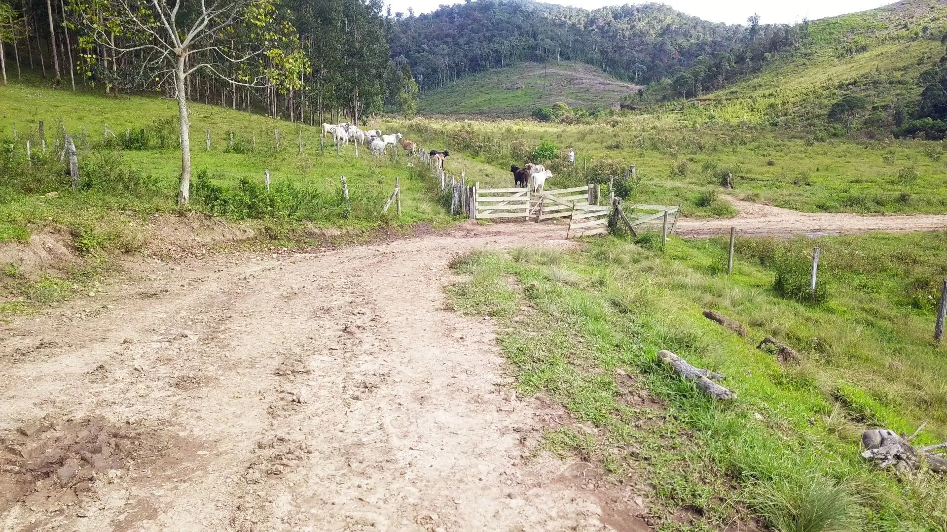 Sítio à venda de 73 ha em Rio do Campo, SC, Brasil