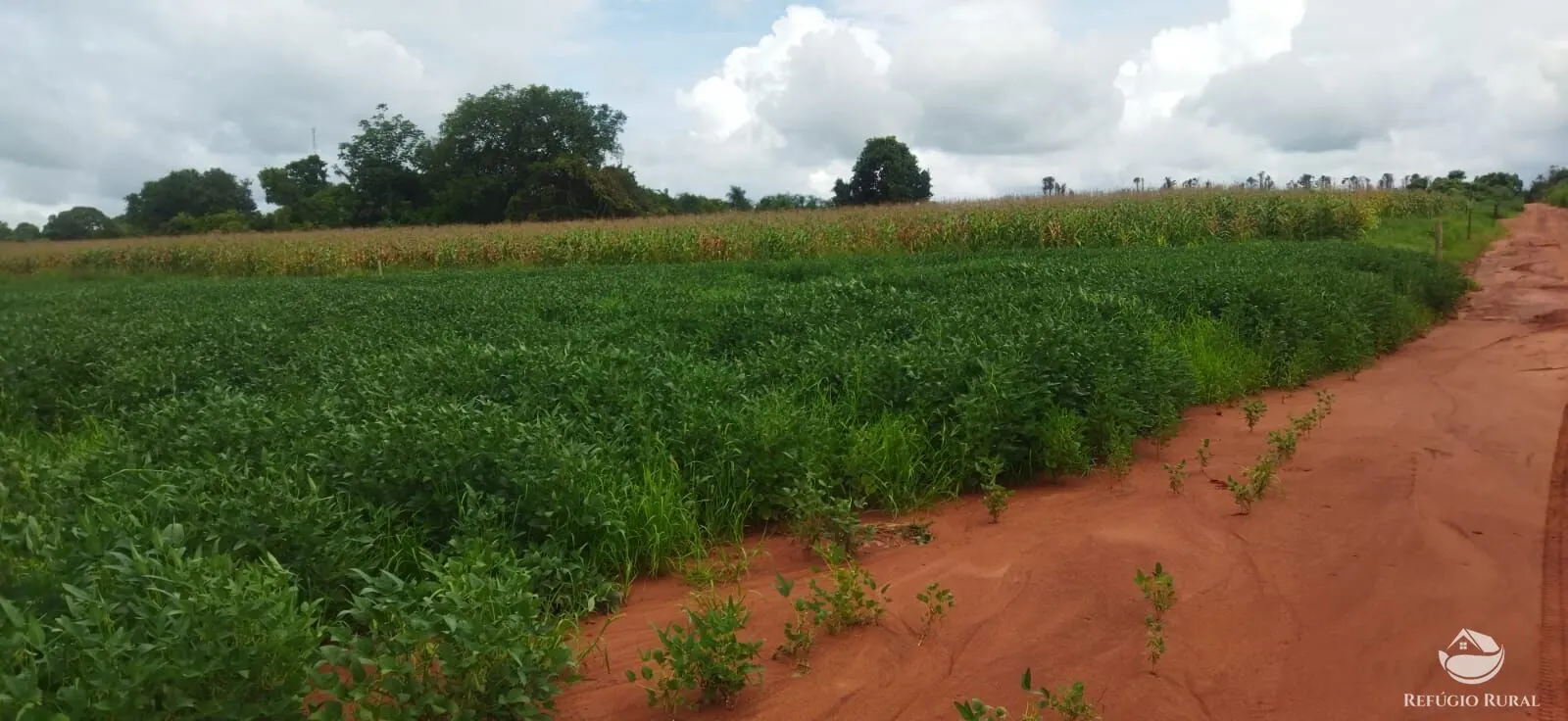 Sítio à venda de 9 ha em Frutal, MG, Brasil