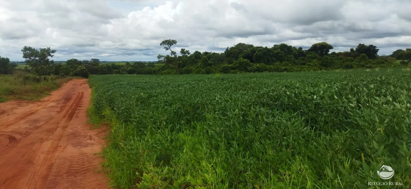 Sítio à venda de 9 ha em Frutal, MG, Brasil