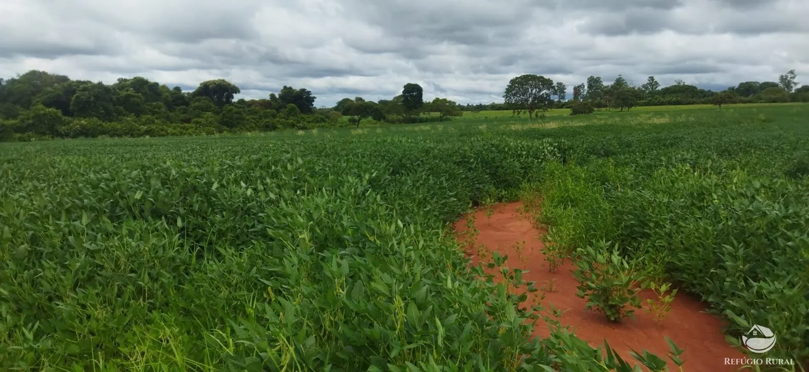 Sítio à venda de 9 ha em Frutal, MG, Brasil