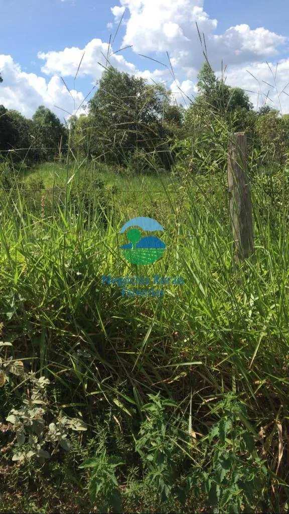 Farm for sale of 573 acres in Caldas Novas, GO, Brazil