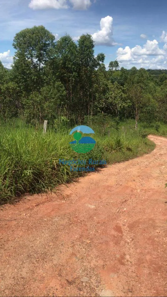 Fazenda à venda de 232 ha em Caldas Novas, GO, Brasil