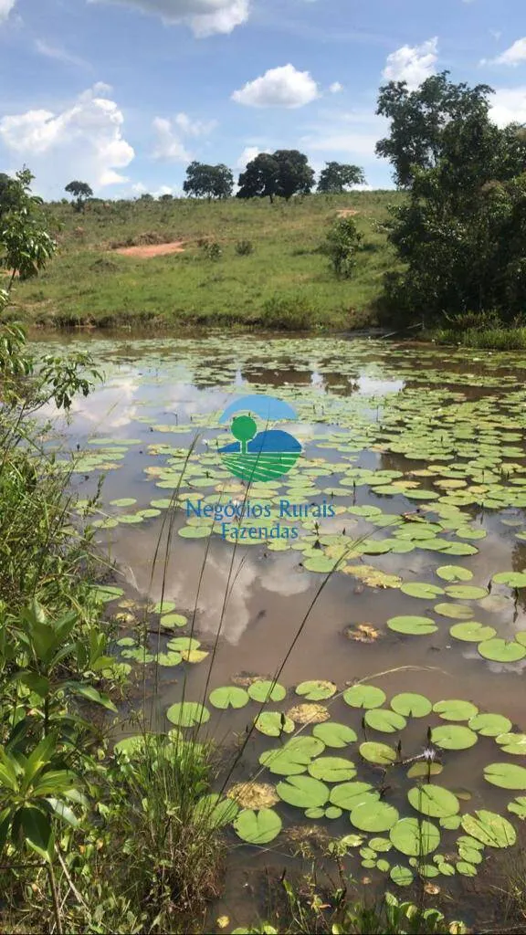 Farm for sale of 573 acres in Caldas Novas, GO, Brazil