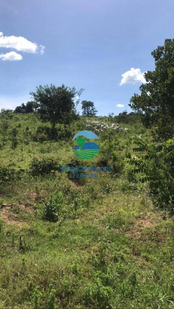 Farm for sale of 573 acres in Caldas Novas, GO, Brazil