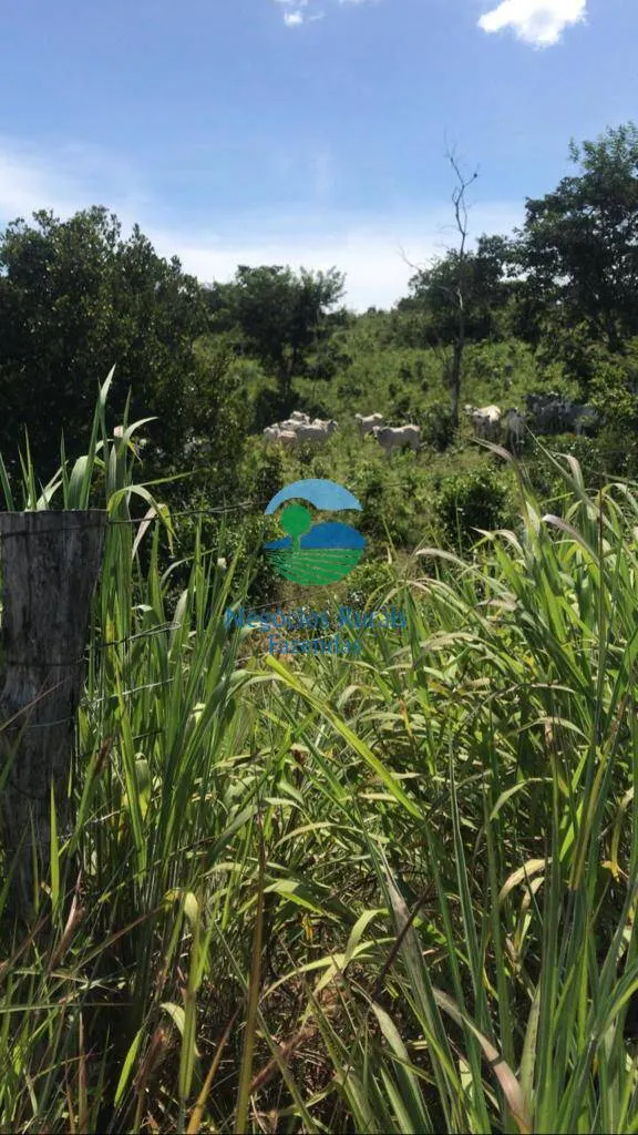 Farm for sale of 573 acres in Caldas Novas, GO, Brazil