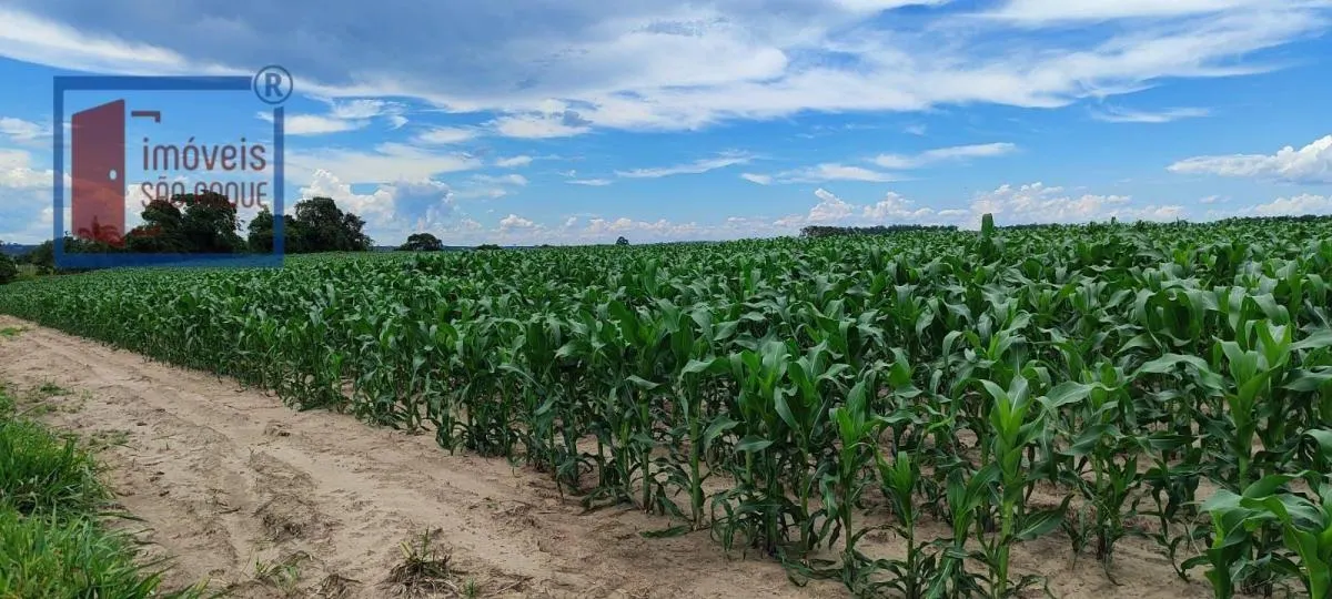 Fazenda à venda de 162 ha em Sorocaba, SP, Brasil