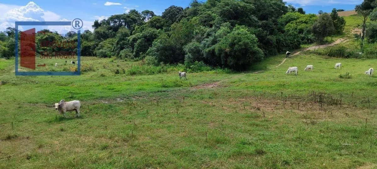 Fazenda à venda de 162 ha em Sorocaba, SP, Brasil
