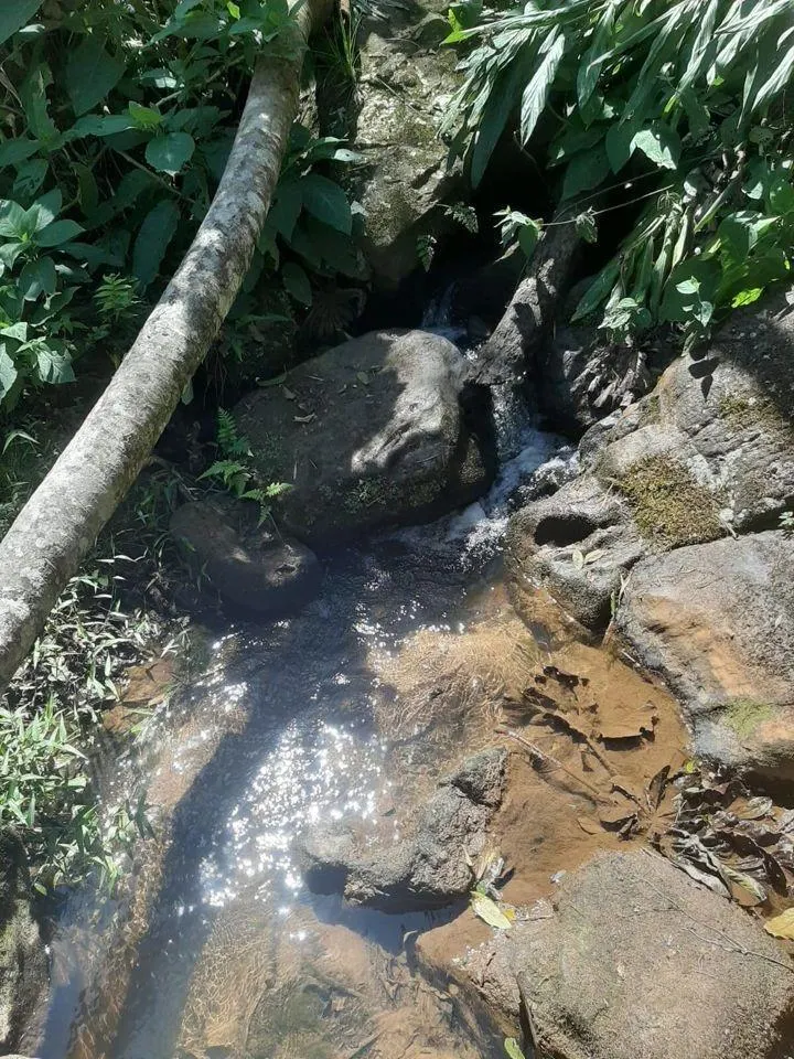 Fazenda à venda de 200 ha em Jambeiro, SP, Brasil