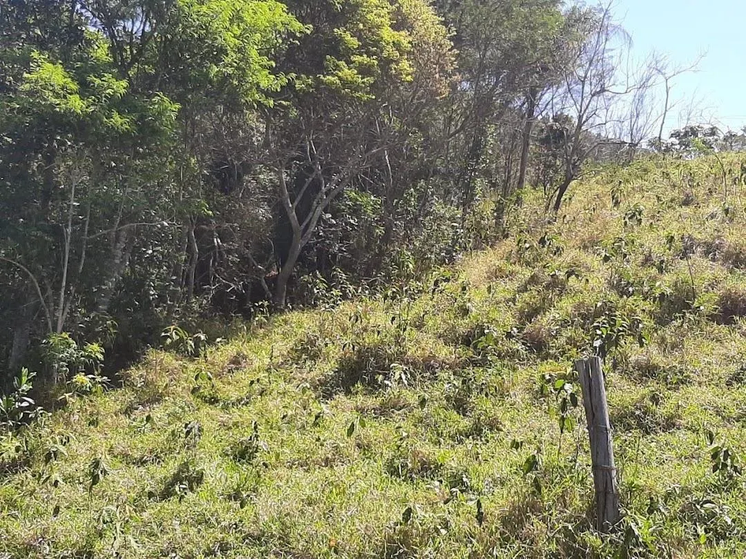 Fazenda à venda de 200 ha em Jambeiro, SP, Brasil