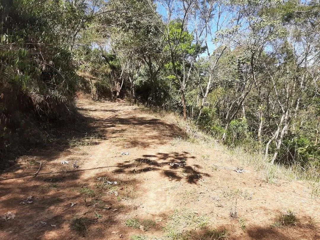 Fazenda à venda de 200 ha em Jambeiro, SP, Brasil